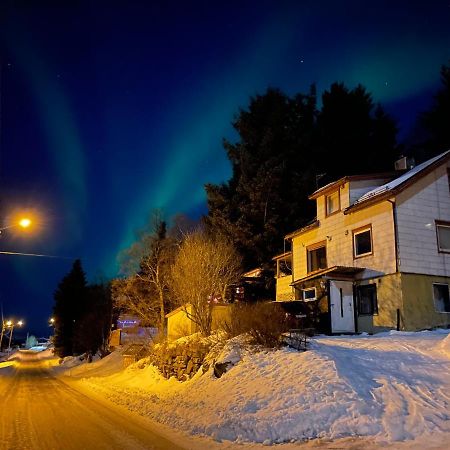 Senja, Skaland Apartment Экстерьер фото